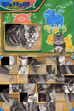 Image n° 3 - screenshots : Nounai Aesthe - IQ Suppli DS 2 - Sukkiri King Ketteisen